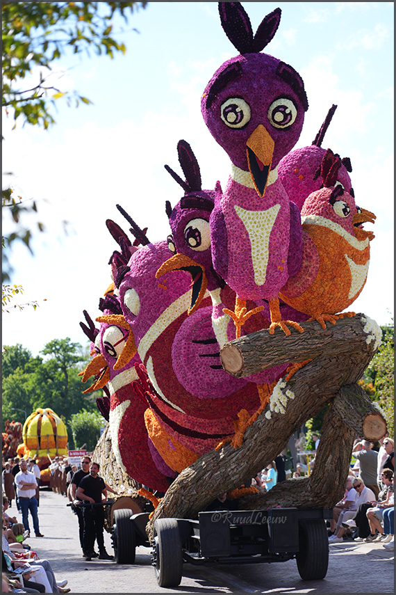 Bloemencorso Lichtenvoorde 2024
